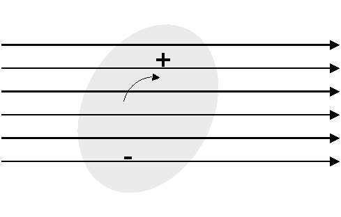 Molecule in E Field